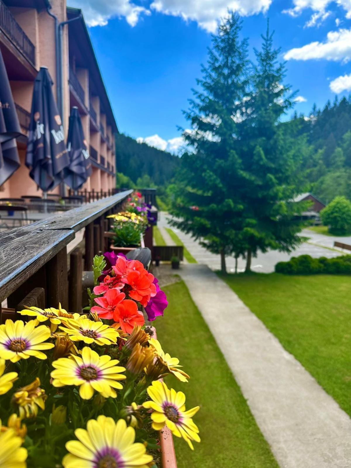 Horsky Hotel Podjavornik Papradno 외부 사진